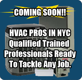 Best Plumbers in NYC